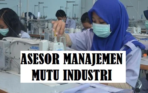 Juknis Jabatan Fungsional Asesor Manajemen Mutu Industri dan Angka Kreditnya