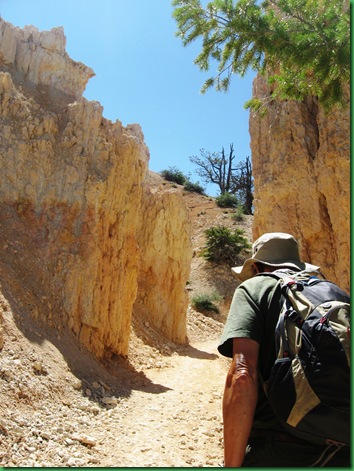 Fairyland Loop 263