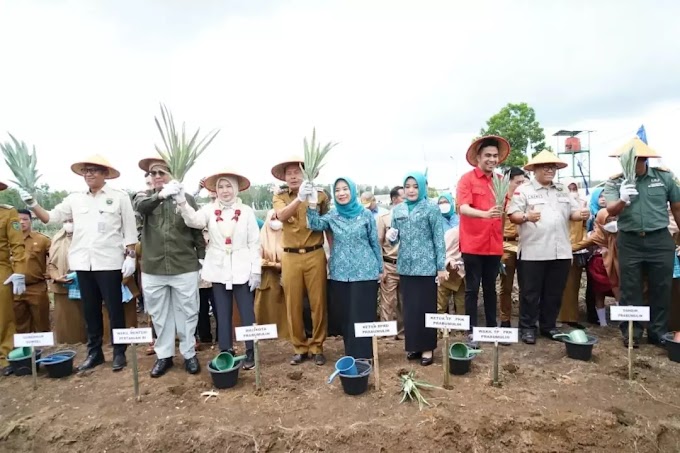 PRABUMULIH— Wakil Menteri Pertanian RI (Wamentan), Ir. Harvick Hasnul Qolbi melakukan kunjungan kerja di Kota Prabumulih, Selasa (21/2/2023). 