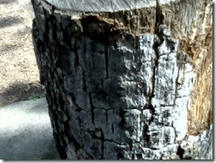 DSCN0047
