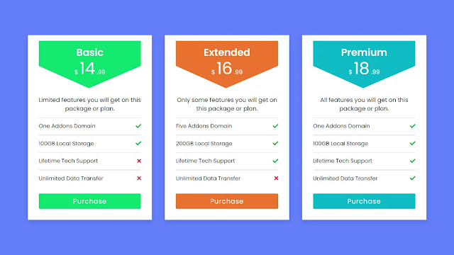 Responsive Pricing Table using HTML & CSS