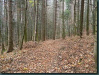 DSCN2064