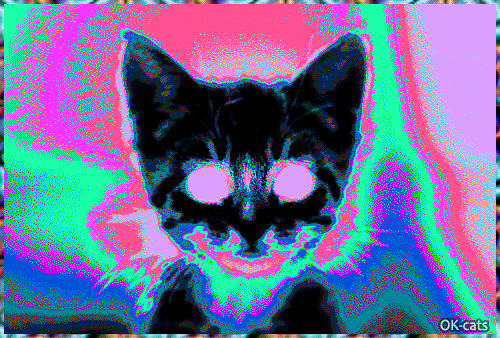 Art Cat GIF •  Psychedelic trippy  high on catnip. Too much catnip  is too much [Low speed]