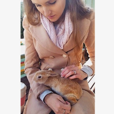 Bunny snuggles with Ginger the Bunny