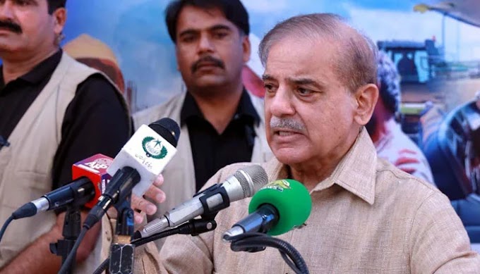 'Will put everything before country': PM Shehbaz on wheat import embarrassment