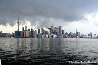 Toronto skyline from Wards Island