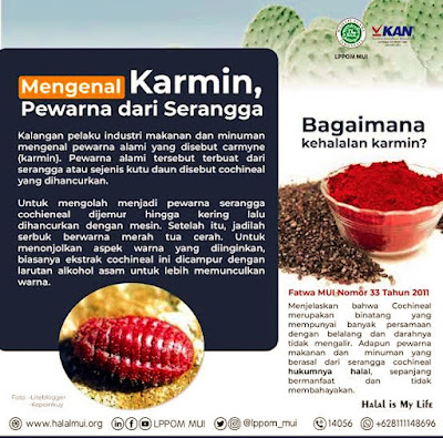 Zat Pewarna Karmin