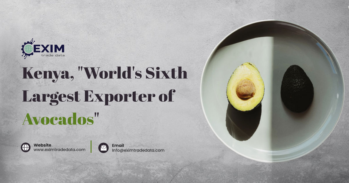 kenya sixth lagest exporter of avocados