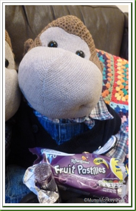 blackcurrant fruit pastilles.