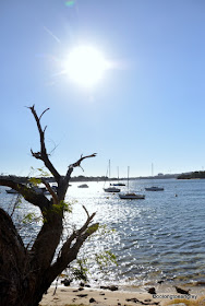Bicton Foreshore, Swan River, Western Australia