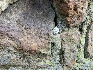 A photo of a small ceramic skull (Skulferatu 118) nestling in the crack in a stone wall.  Photo by Kevin Nosferatu for the Skulferatu Project.