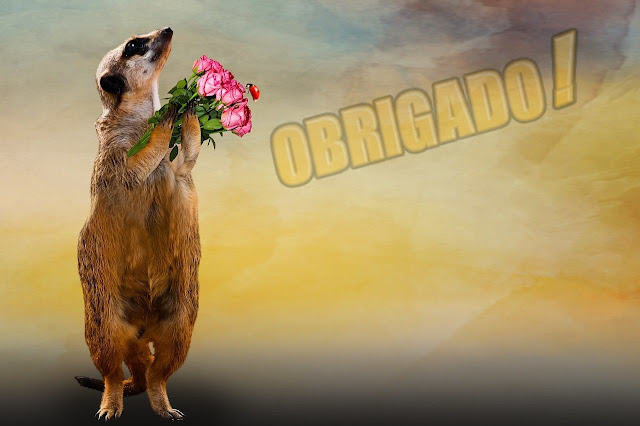 Fotomontagem de um animal de pé com flores nas patinhas e a palavra: Obrigado!