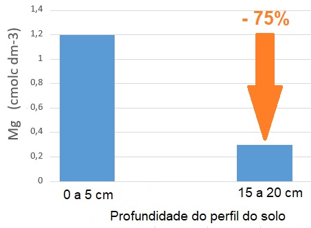 Gráfico - Comparação do teor de Mg