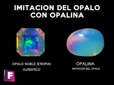 opalina vs opalina como reconocerla 