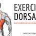 EXERCICES MUSCULATION DORSAUX