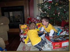 Christmas 2010 016