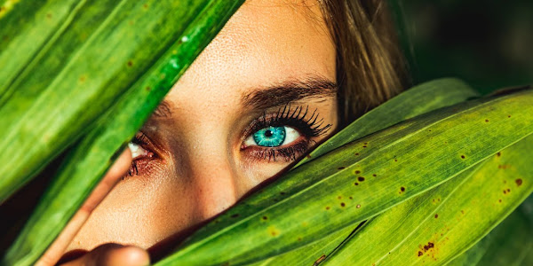 10 Bahan Alami Untuk Menghilangkan Komedo Dari Wajah Anda