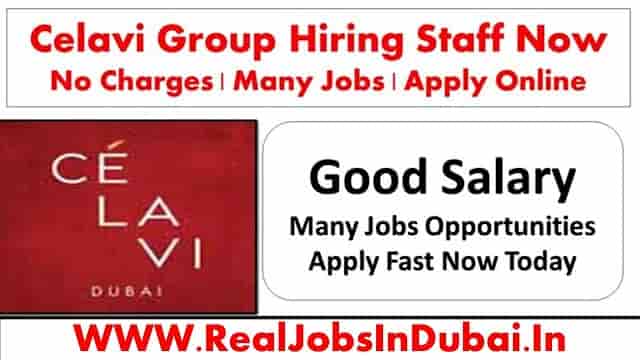 CELAVI Dubai Careers Jobs Vacancies In UAE