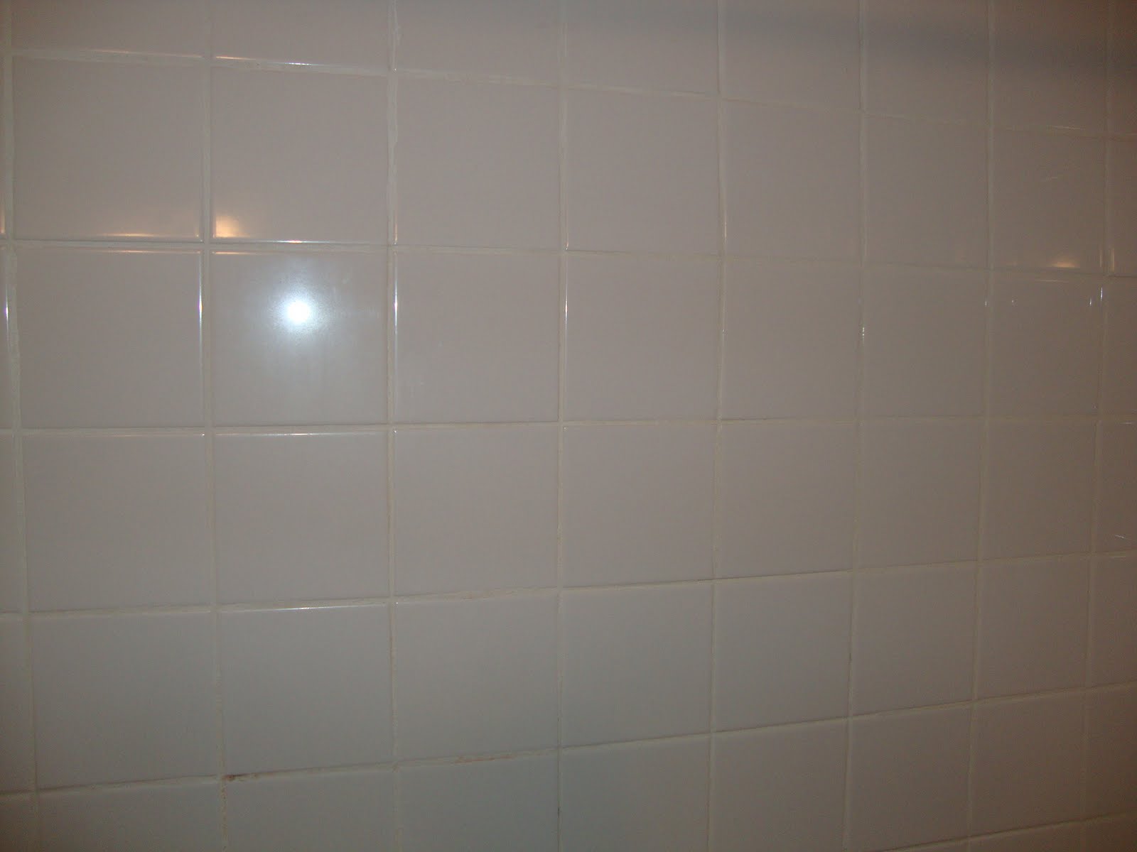 bathroom shower walls Bathroom Shower Progres