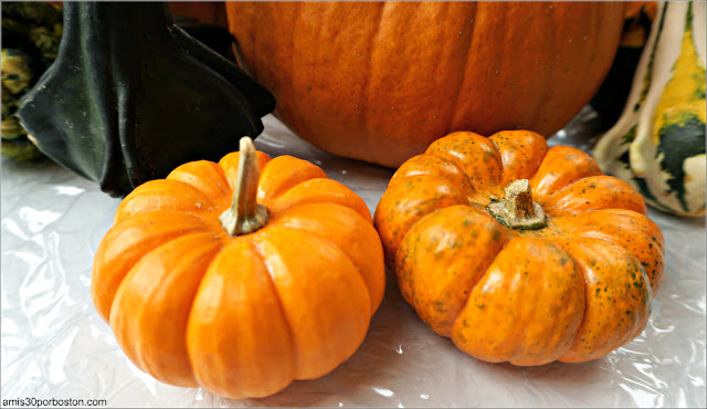 Mini Calabazas para Decoración 