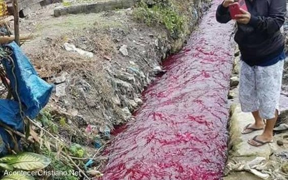 Río se transforma en color rojo sangre en Indonesia