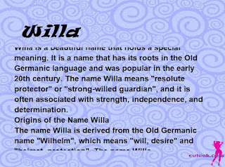 meaning of the name "Willa"