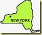new york1