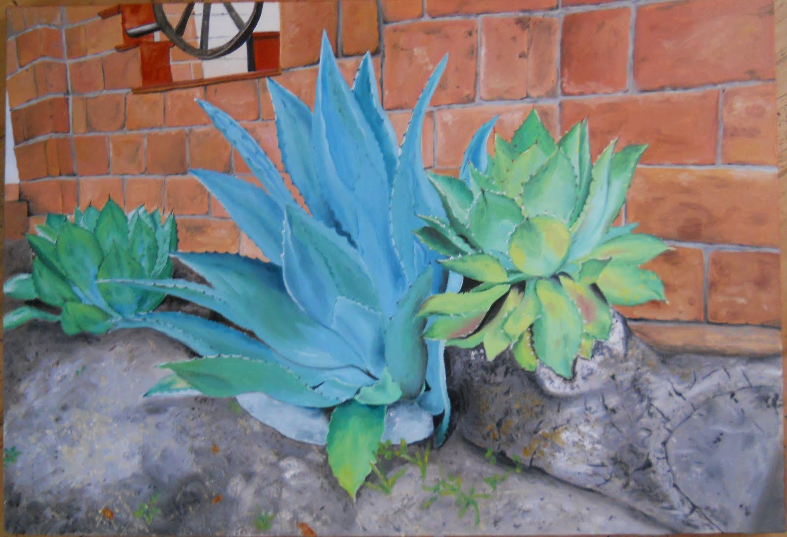 Les agaves