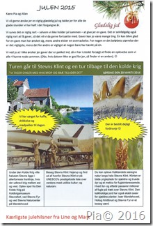 Julegave Stevns Klint