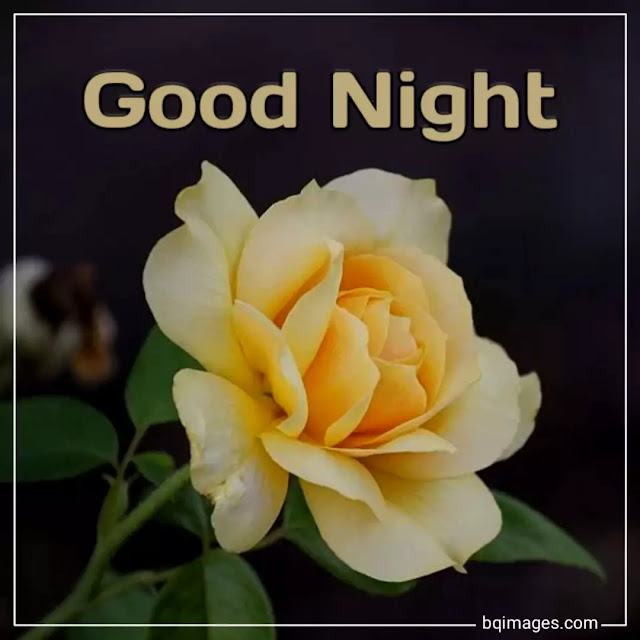 good night images in english