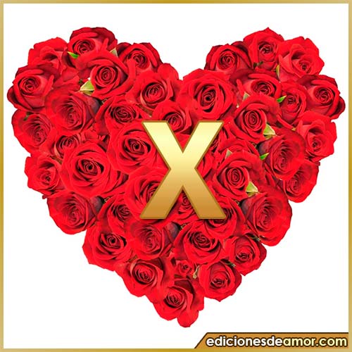 corazón de rosas con letra X