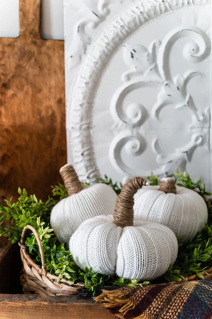 white sweater pumpkins in fall basket