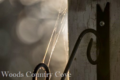 JANUARY 2015 (5 of 11)