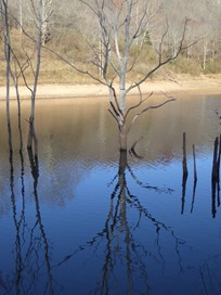 P1090235