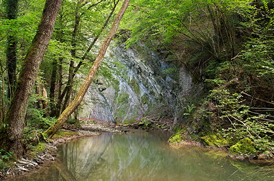 Green landscape around Fornant river