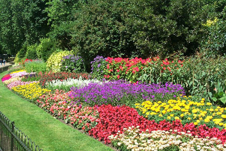 Flower Garden Designs