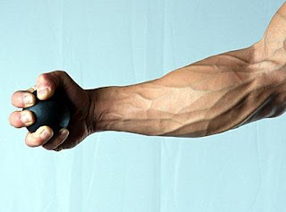 The Top 5 Exercises for Increasing Forearms