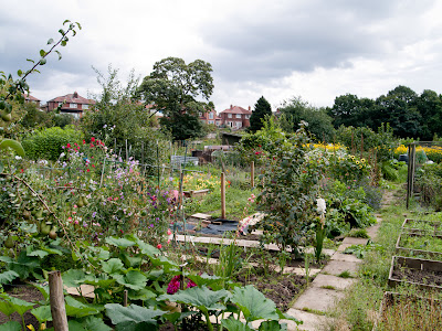 Bradley Fold Allotments