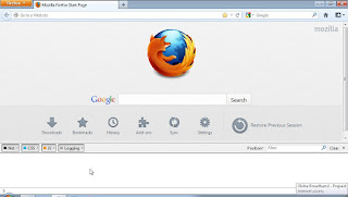 Mozilla Firefox with Web Console