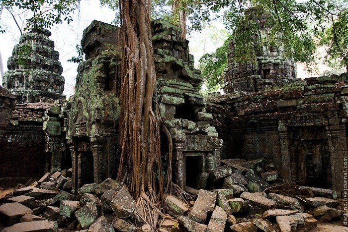 ta-prohm1 ta-prohm1
