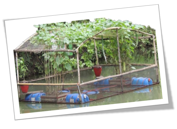 Integrated floating cage Aquageoponics system