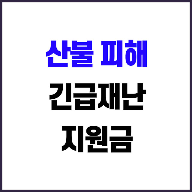 2025 산불 피해 긴급재난지원금 신청 대상, 방법, 지역별 지급 현황