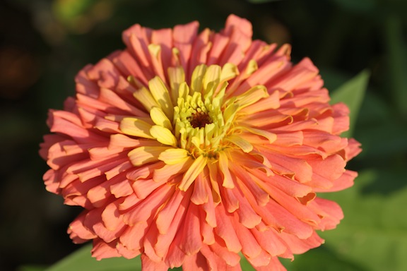 IMG_0517-2012-09-14-19-51.jpg