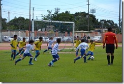 DSC_0524 (800x533)