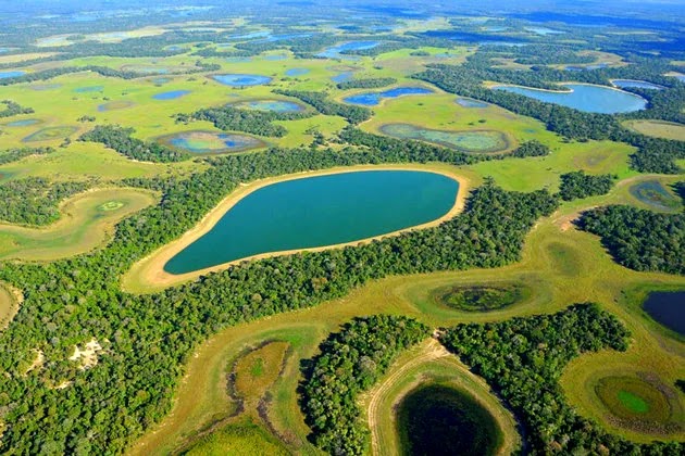 Pantanal