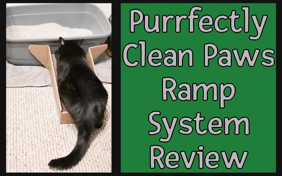 Purrfectly Clean Paws Ramp System - Momma Kat and Her Bear Cat