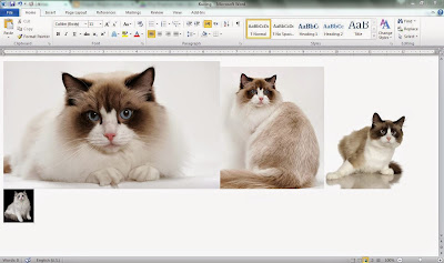 Tutorial Ambil Gambar dari MS Word