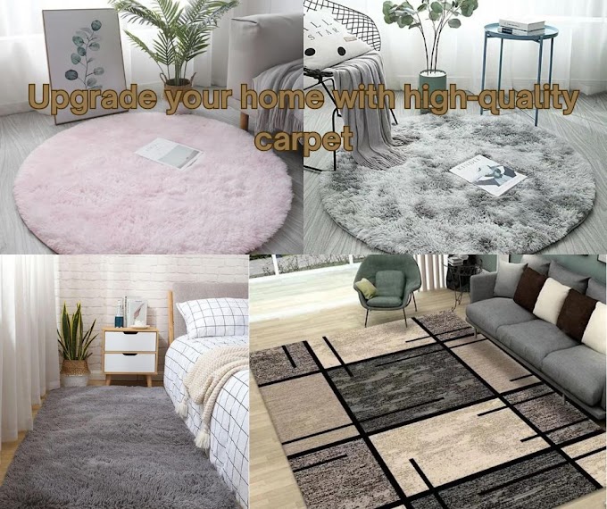  Elevate Your Home Aesthetics with Stylish Carpets from Top Brands