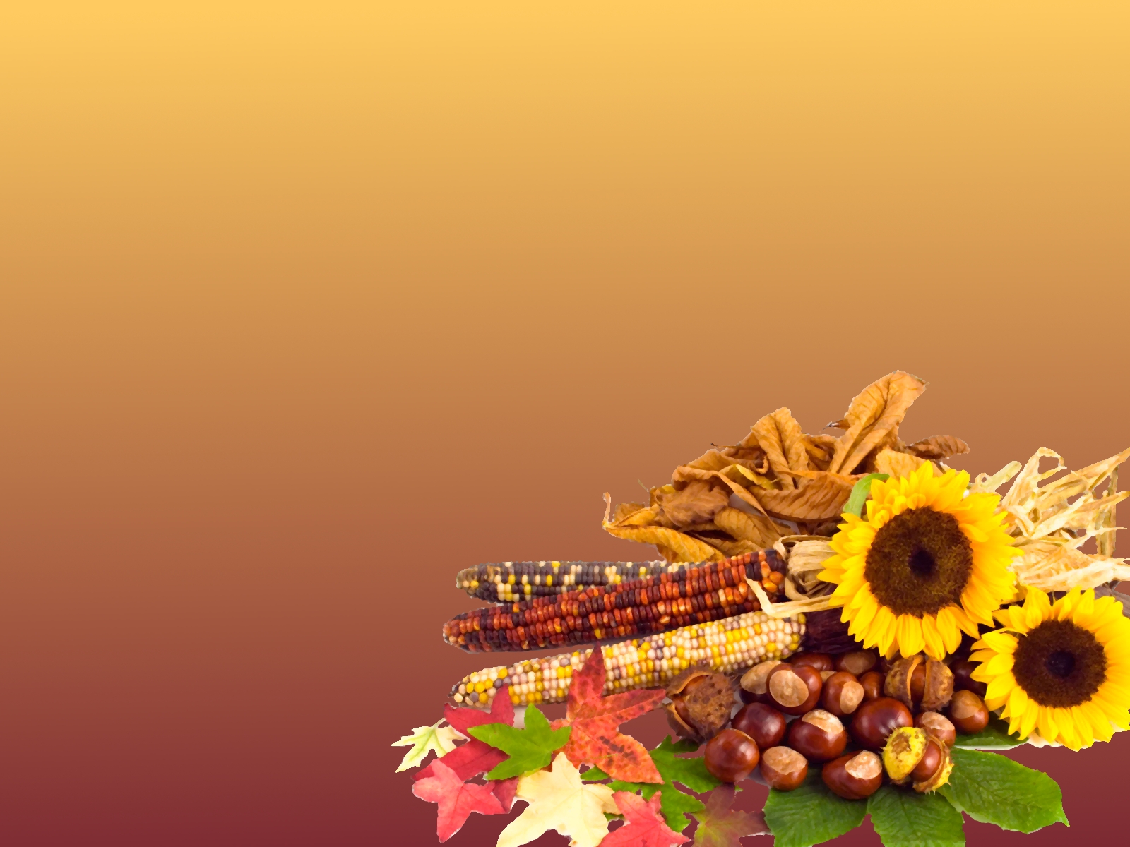 Free Thanksgiving Wallpaper