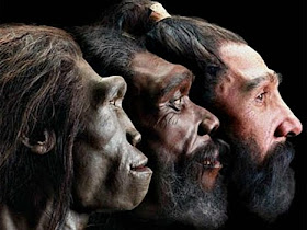 Three ancient human ancestors in profile view.